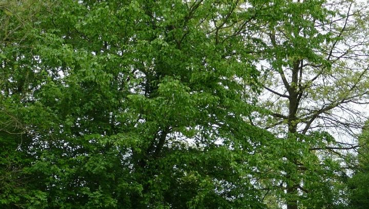 Parkdag 28 april 2018